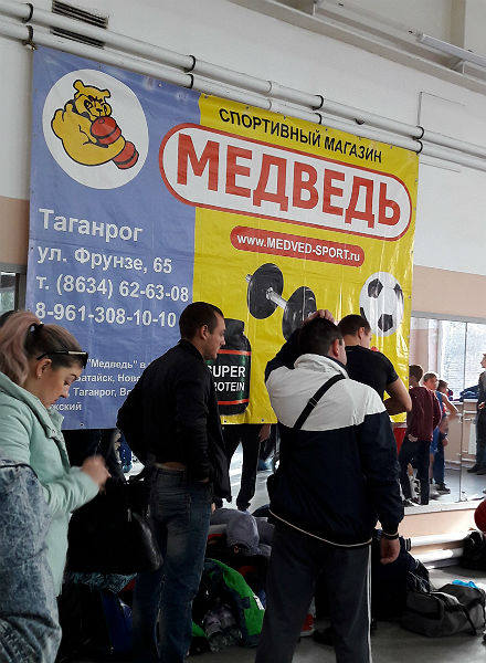 медведь