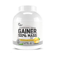 Mass Gainer 100% 3000гр.