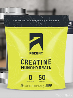 Creatine Monohydrate Ascent 250гр. купить в Ростове-на-Дону - цены в интернет-магазине спортивного питания "Медведь"