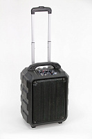 Акустическая система PR-6, портативная на колесах, с аккумулятором, 25Вт